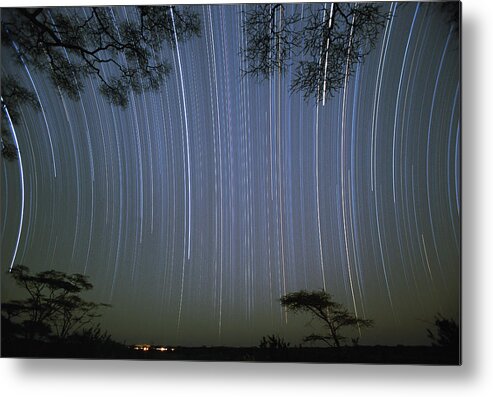 Mp Metal Print featuring the photograph Star Trails, Serengeti National Park by Konrad Wothe