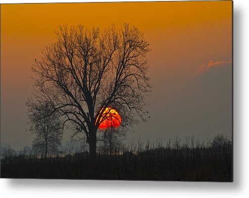 Nature Scenic Sun Sunrise Tree Oklahoma Sequoyah National Wildlife Refuge Metal Print featuring the photograph Sunrise - 4810 by Jerry Owens