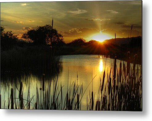 Pond Metal Print featuring the photograph Sunset and Cattails by Tam Ryan