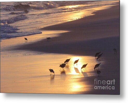 Nature Metal Print featuring the photograph Sunset Beach by Nava Thompson