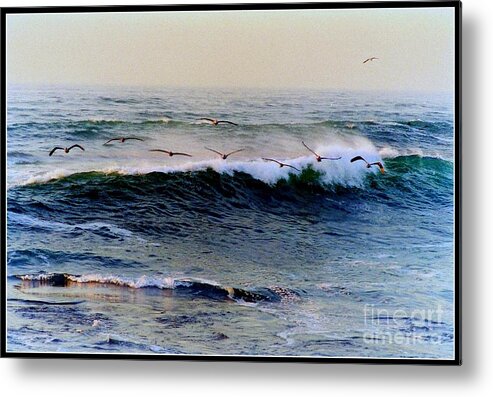 Pelican Metal Print featuring the photograph Sunset Watch by Kathy Bassett