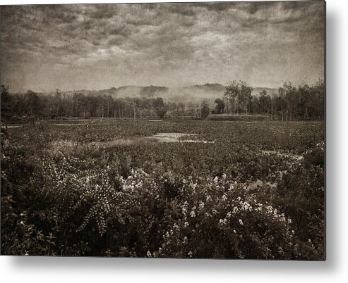 Marsh Metal Print featuring the photograph Suspended Over The Wetlands by Dale Kincaid