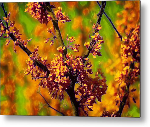 Tree Metal Print featuring the photograph Tangerine Bloom Delight by Bill and Linda Tiepelman