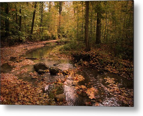Brook Metal Print featuring the photograph The Brook in the Woods by Robin Webster