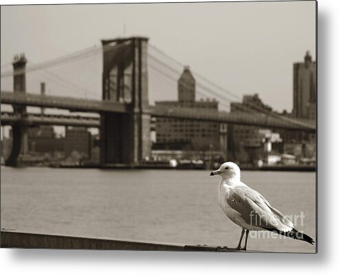 Newyork08 Metal Print featuring the photograph The seagull of the Brooklyn Bridge by RicardMN Photography