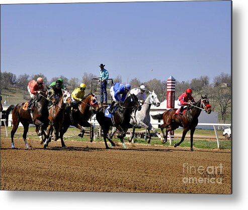 Horses Metal Print featuring the photograph The Starter by Nava Thompson