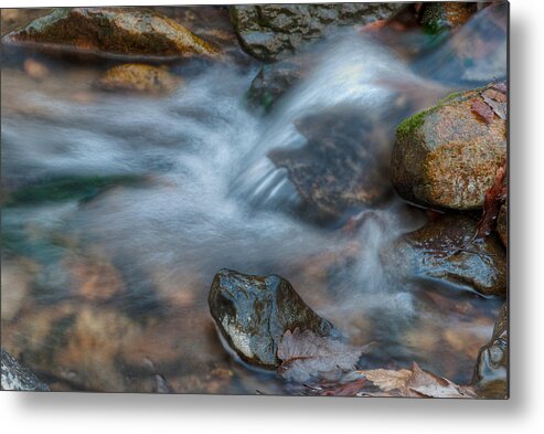 Exposed Roots Metal Print featuring the photograph The Turtle Rock in Water by Dennis Dame