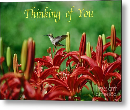 Card Art Metal Print featuring the photograph Thinking of You by John Stephens