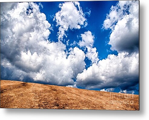 Sky Metal Print featuring the photograph Up and Away by Ken Williams