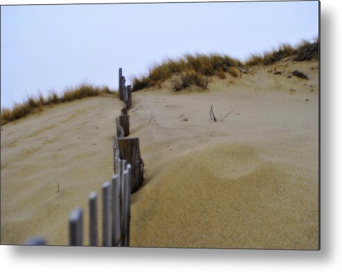 Marsh Metal Print featuring the photograph Winter Dune by Marysue Ryan