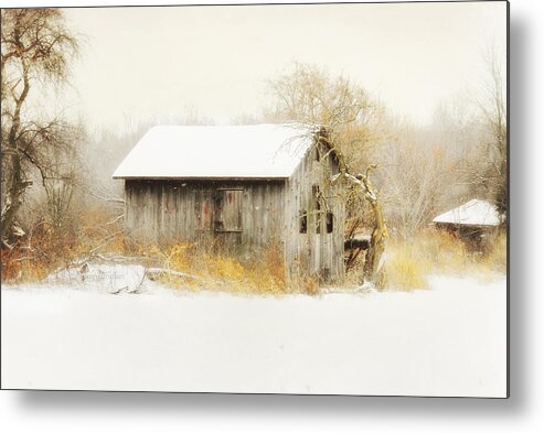 Wind Metal Print featuring the photograph Winters rage by Mary Timman