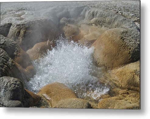 Adventure Metal Print featuring the photograph Yellowstone Hot Springs 9499 by Michael Peychich
