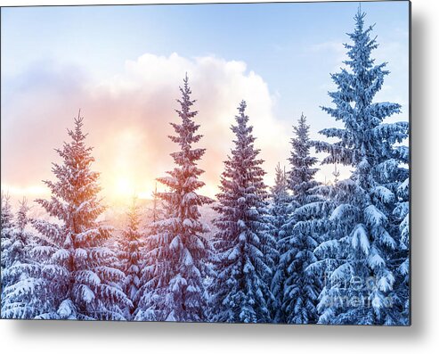 Alp Metal Print featuring the photograph Beautiful winter forest #1 by Anna Om