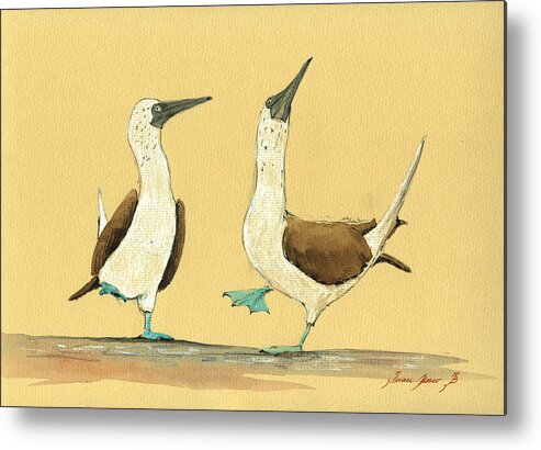 Blue Footed Boobies Metal Print featuring the painting Blue footed boobies by Juan Bosco