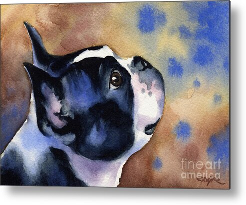Boston Terrier Metal Print featuring the painting Boston Terrier #13 by David Rogers