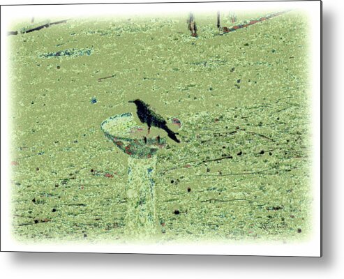Crow Metal Print featuring the mixed media Crow and Bath #1 by YoMamaBird Rhonda