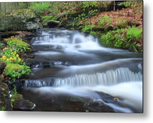 Waterfall Metal Print featuring the photograph Forest Stream and Marsh Marigolds #1 by John Burk