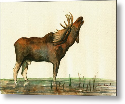 Moose Metal Print featuring the painting Moose watercolor painting. #1 by Juan Bosco