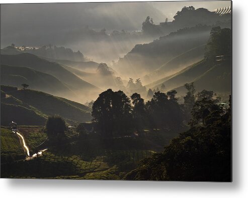 Sunrise Metal Print featuring the photograph Morning at Cameron Highlands #1 by Ng Hock How