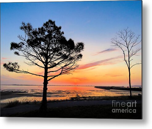 Morning Metal Print featuring the photograph Morning Sun #1 by Janice Drew