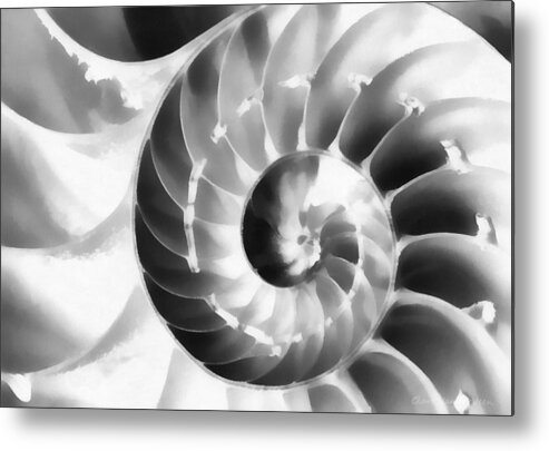 Nautilus Metal Print featuring the photograph Nautilus #1 by Clare VanderVeen