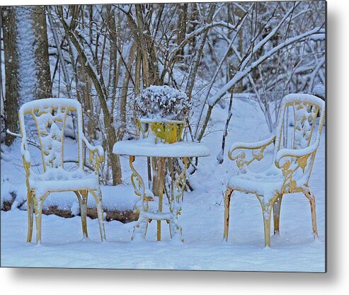 Snowy Sit A Spell Metal Print featuring the photograph Snowy Sit a Spell by PJQandFriends Photography