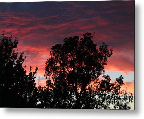 Sunset Metal Print featuring the photograph Sunset #1 by Sheri Simmons
