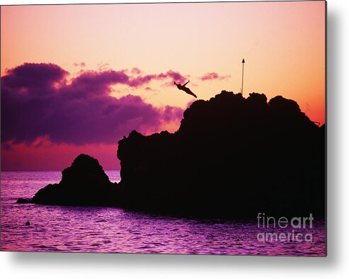 Active Metal Print featuring the photograph Torch Lighting #1 by Ron Dahlquist - Printscapes