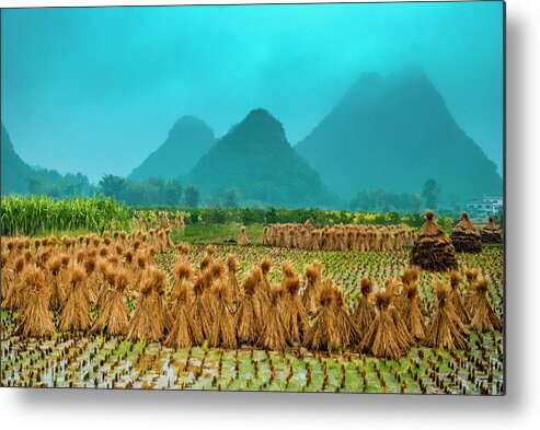 Countryside Metal Print featuring the photograph Beautiful countryside scenery in autumn #18 by Carl Ning