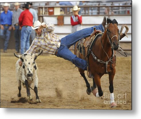 Horse Metal Print featuring the photograph Bull Doggin #2 by Dennis Hammer