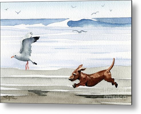 Dachshund Running Playing Seagull Beach Ocean Waves Shore Pet Dog Breed Canine Art Print Artwork Painting Watercolor Gift Gifts Picture Metal Print featuring the painting Dachshund at the Beach #7 by David Rogers