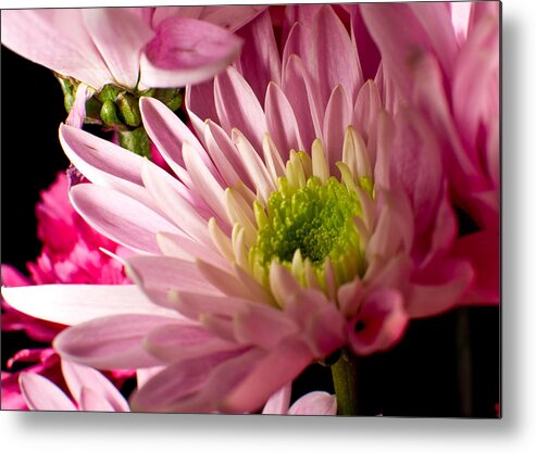 Flower Metal Print featuring the photograph Flower Macro #2 by Edward Myers
