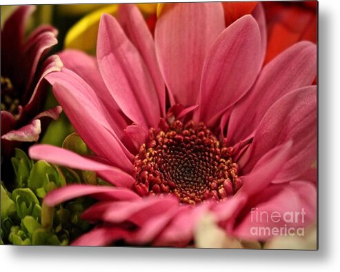 Pink Metal Print featuring the photograph Flowers #42 by Deena Withycombe