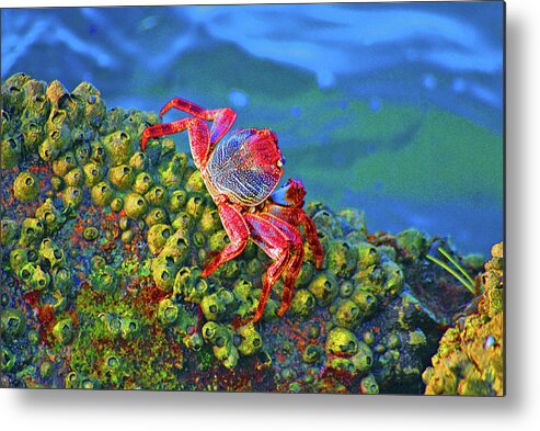 Crabs Metal Print featuring the digital art 37- The Precipice by Joseph Keane