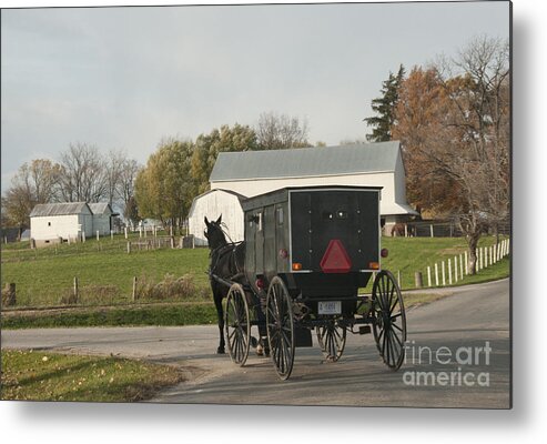 Amish Metal Print featuring the photograph Amish Buggy #6 by David Arment