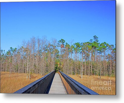 Grassy Waters Preserve Metal Print featuring the photograph 6- Follow Me by Joseph Keane