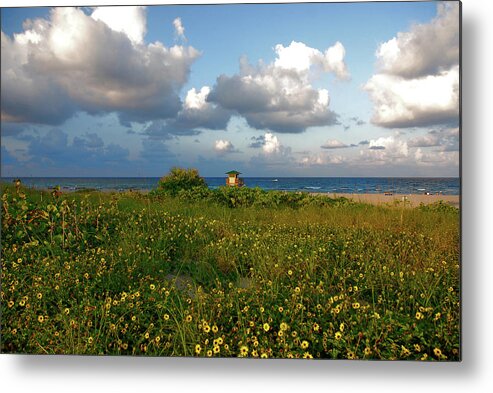 Sunflowers Metal Print featuring the photograph 8- Sunflowers In Paradise by Joseph Keane
