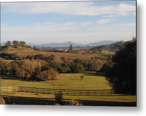 Landscape Metal Print featuring the digital art A Day in the country by Steven Wills