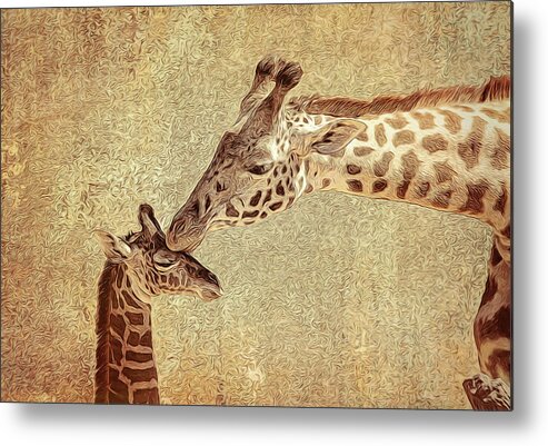 Giraffe Metal Print featuring the photograph A Mother's Kiss Painted by Judy Vincent