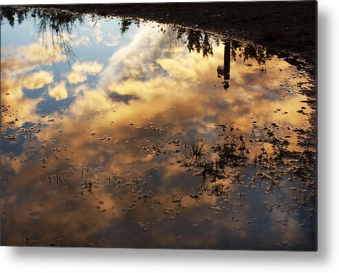 Sky Metal Print featuring the photograph After the Rain by Barbara White