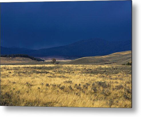 Yellowstone Metal Print featuring the photograph After the Rain by Deborah Penland