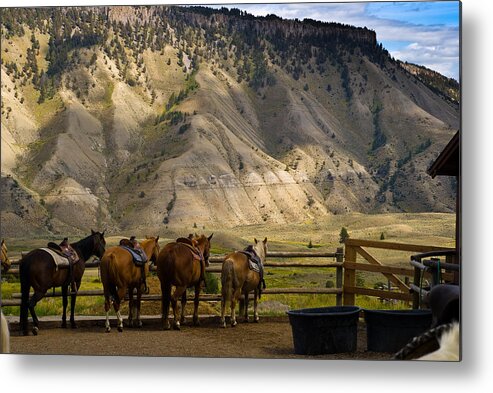Horse Metal Print featuring the photograph After the Ride by Patrick Flynn
