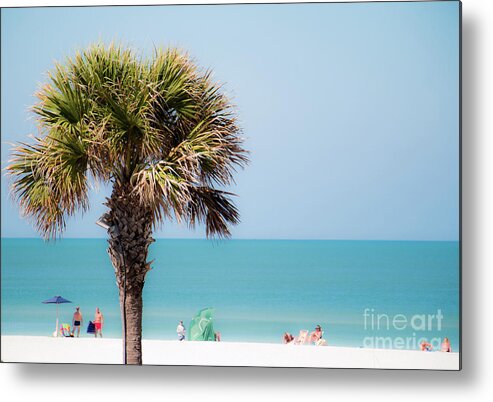 Tree Metal Print featuring the photograph Against the Blue by JCV Freelance Photography LLC