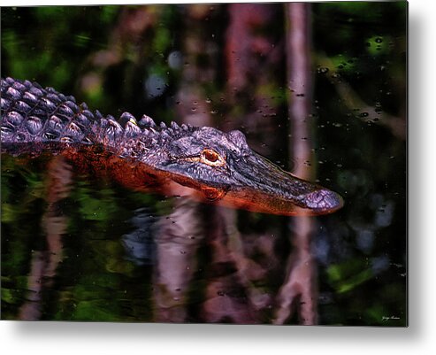 Reptile Metal Print featuring the photograph Alligator Waiting 003 by George Bostian