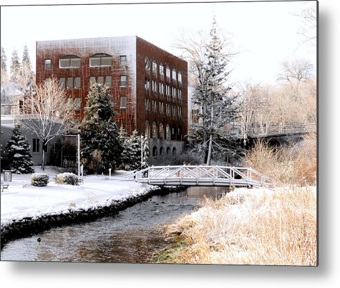 Janice Drew Metal Print featuring the photograph Along Town Brook by Janice Drew