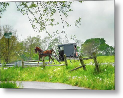 Amish Metal Print featuring the photograph Amish Buggy Along Ronks Road by Dyle Warren