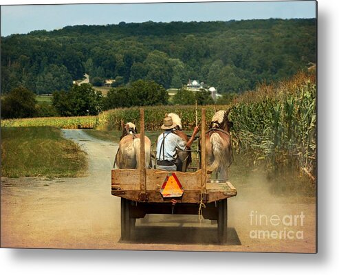Amish Farmer Metal Print featuring the photograph Amish Farmer Three Horses by Beth Ferris Sale