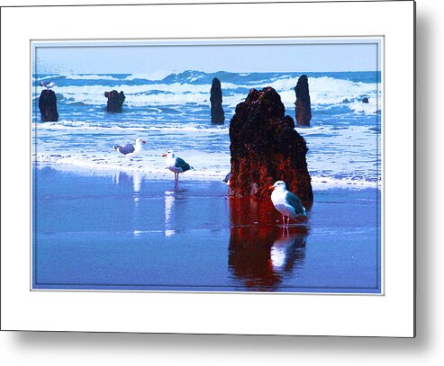 Ancient Trees Metal Print featuring the photograph Ancient Trees and Seagulls at Neskowin Beach by Margaret Hood