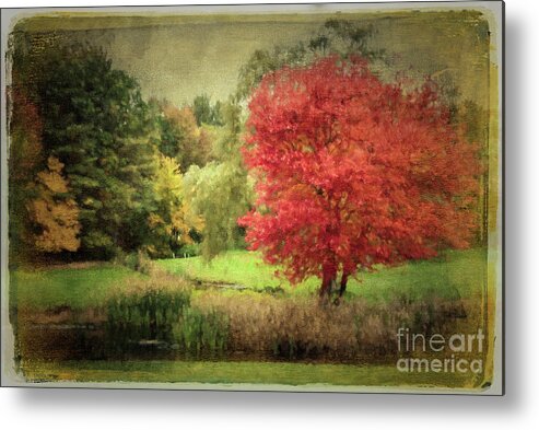 Fall Foliage Metal Print featuring the photograph Antique Autumn by Anita Pollak