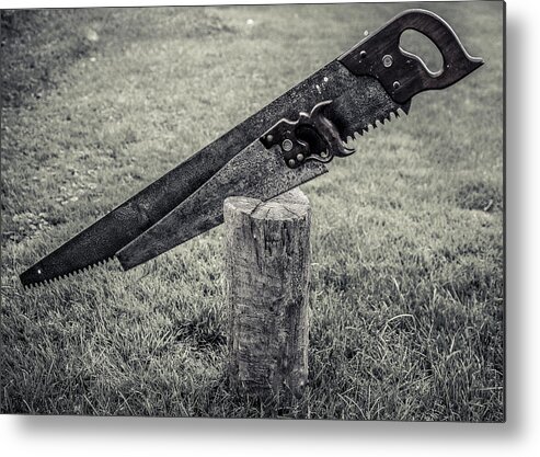 Atkins Metal Print featuring the photograph Antique Hand Saws in a stump - BW by Chris Bordeleau